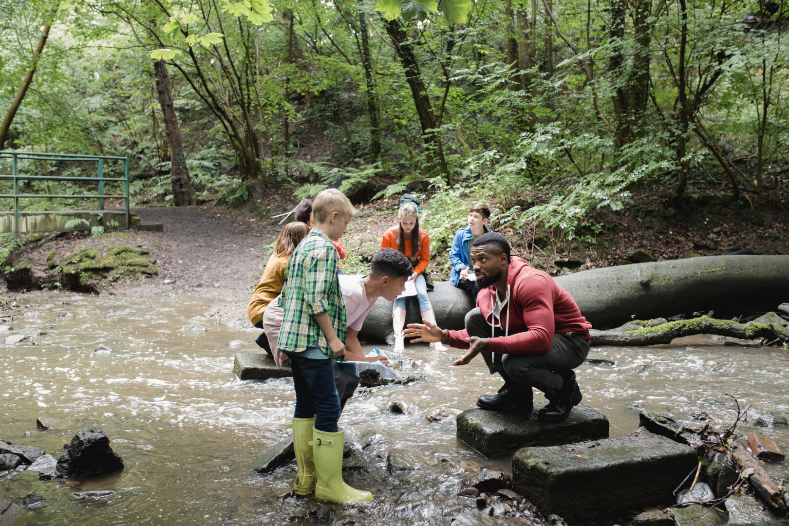 Learning in Nature